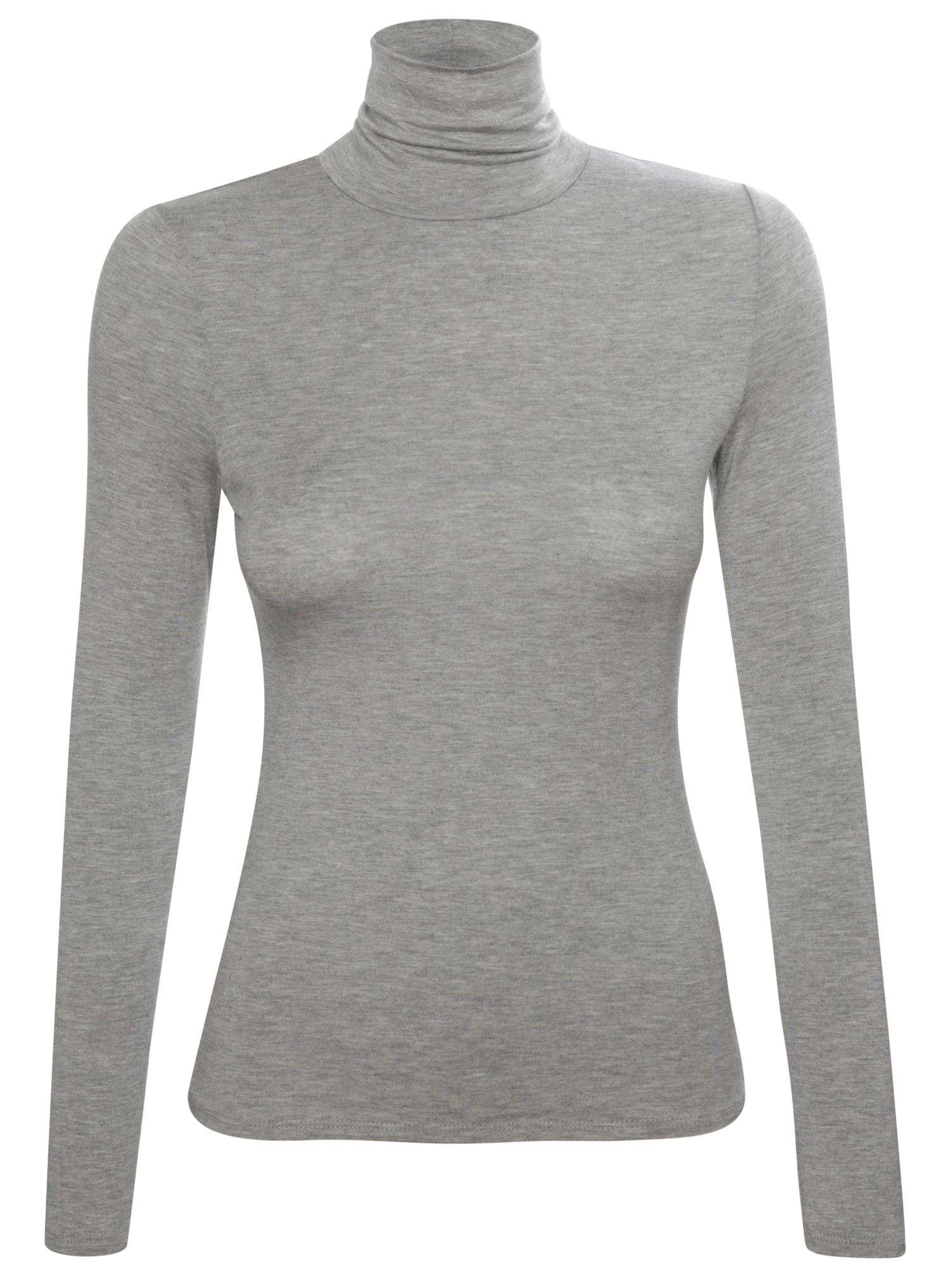 Fitted Turtleneck Long Sleeve Top
