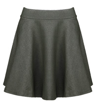 Flare Mini Skirt