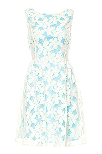 Floral Lace Garden Dress