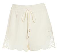 Embroidered Net Shorts