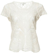 Sheer Embroidered Lace Top