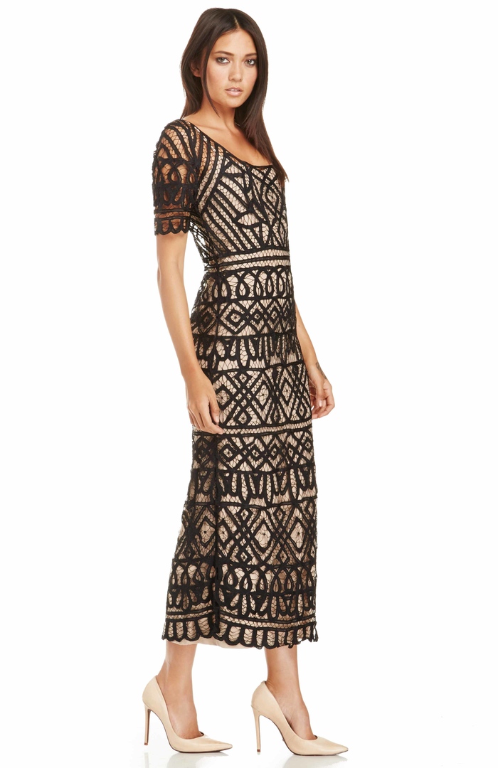 Stone Cold Fox Denver Lace Dress in Black | DAILYLOOK