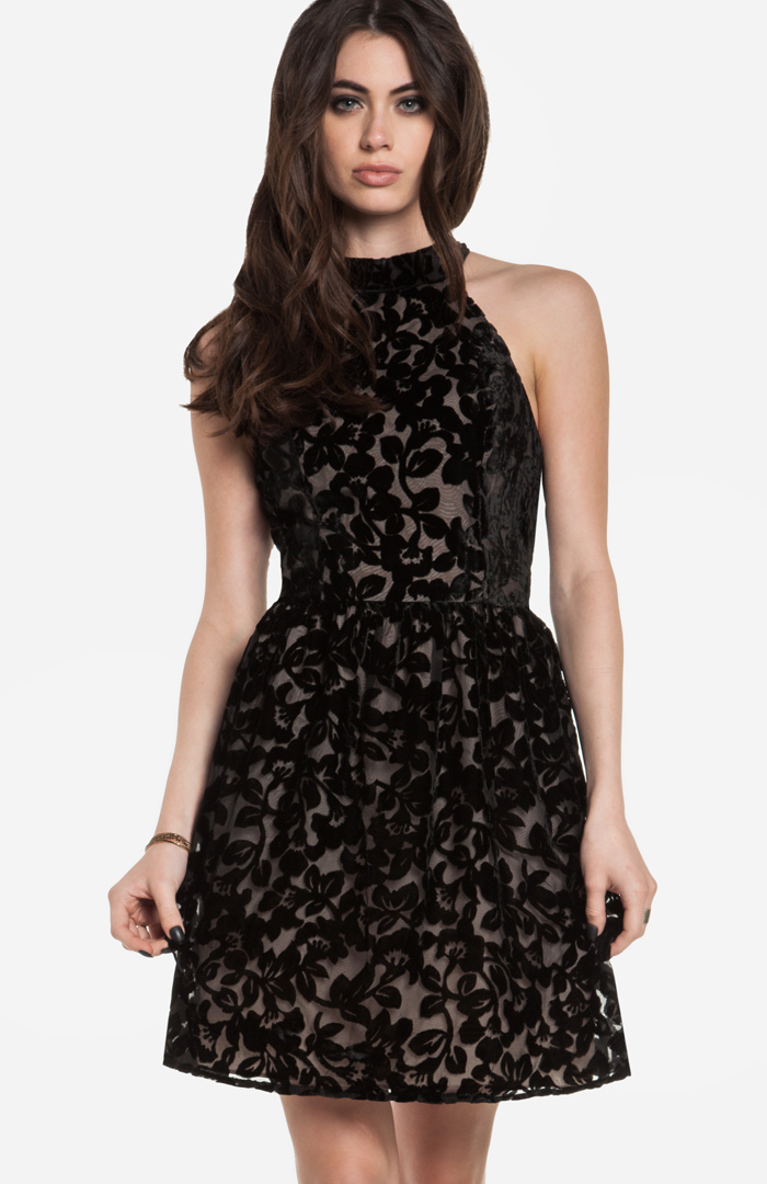 Floral Velvet Fit and Flare Dress in Black | DAILYLOOK