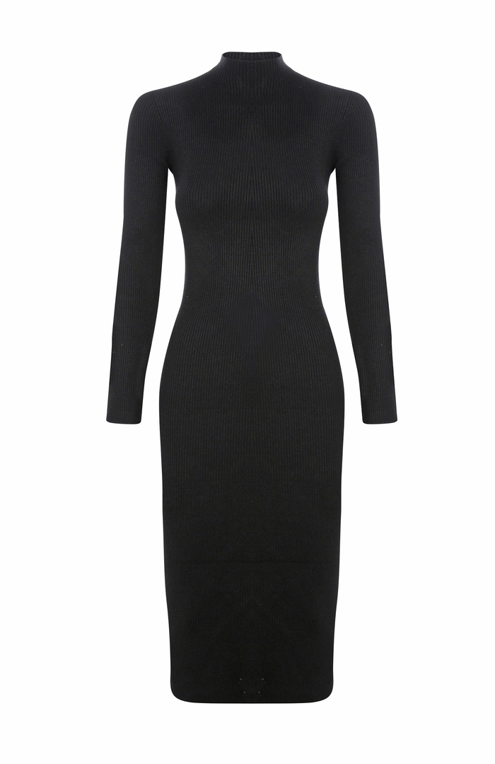 Long Sleeve Turtleneck Midi Dress in Black | DAILYLOOK